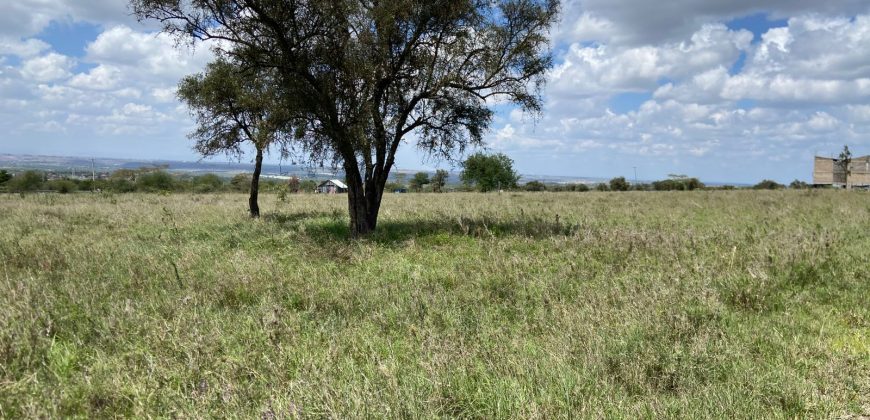 Prime 1 Acre For Sale in Arthi River