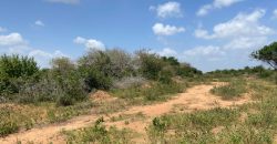 Affordable Large acre plots for sale in Malindi