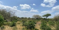 Affordable Large acre plots for sale in Malindi