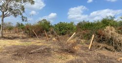 Affordable Large acre plots for sale in Malindi