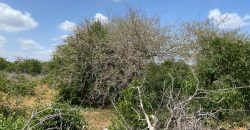 Affordable Large acre plots for sale in Malindi