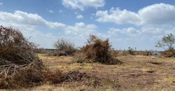 Affordable Large acre plots for sale in Malindi