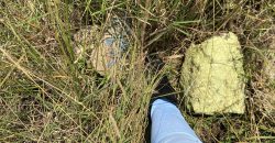 Prime Residential Plots For Sale in Juja