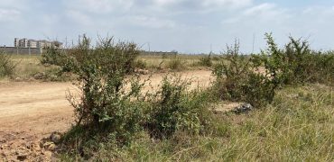 Prime Residential Plots For Sale in Juja