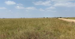 Prime Residential Plots For Sale in Juja
