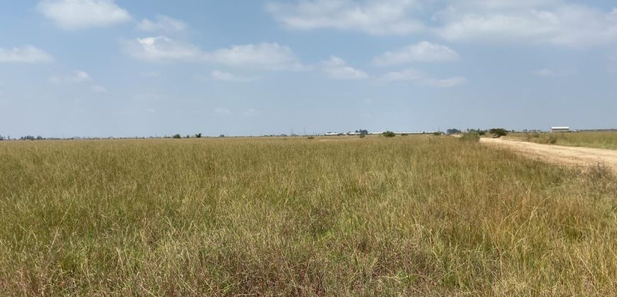 Prime Residential Plots For Sale in Juja