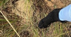 Prime Residential Plots For Sale in Juja