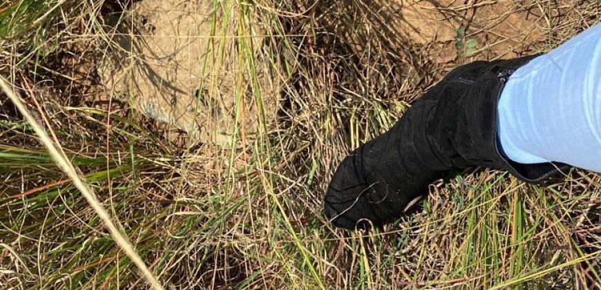 Prime Residential Plots For Sale in Juja