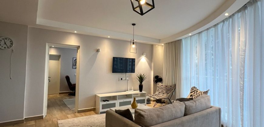 Luxury 2 Bedroom Apartment for rent