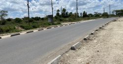 Prime Land Touching Tarmac Arthi River