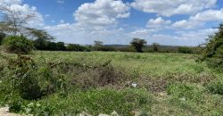 Prime Land Touching Tarmac Arthi River