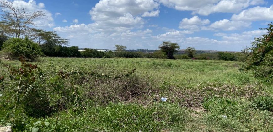 Prime Land Touching Tarmac Arthi River