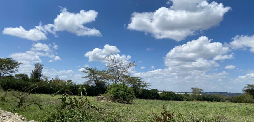 Prime Land Touching Tarmac Arthi River