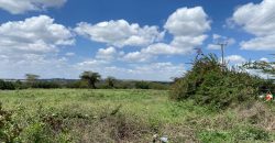 Prime Land Touching Tarmac Arthi River