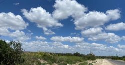 Prime Land Touching Tarmac Arthi River