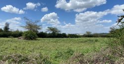 Prime Land Touching Tarmac Arthi River