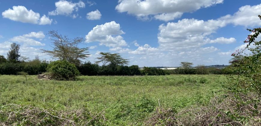 Prime Land Touching Tarmac Arthi River