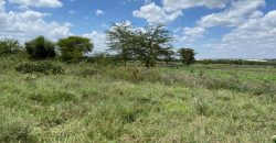 Prime Land Touching Tarmac Arthi River