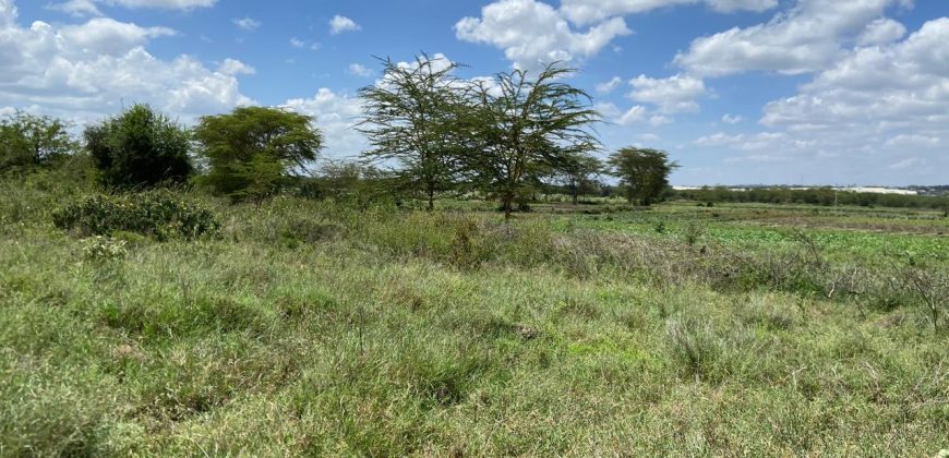 Prime Land Touching Tarmac Arthi River