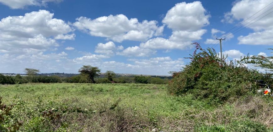 Prime Land Touching Tarmac Arthi River