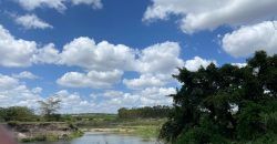 Prime Land Touching Tarmac Arthi River