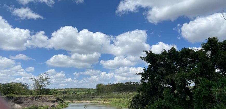 Prime Land Touching Tarmac Arthi River