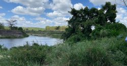 Prime Land Touching Tarmac Arthi River