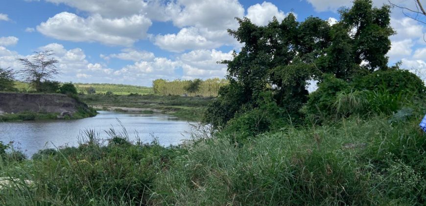 Prime Land Touching Tarmac Arthi River