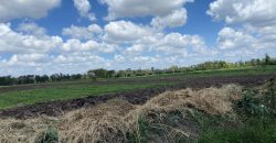 Prime Land Touching Tarmac Arthi River