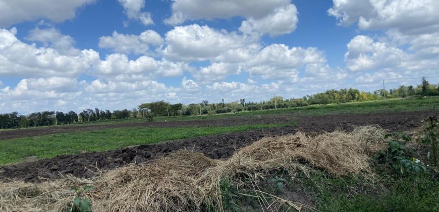 Prime Land Touching Tarmac Arthi River