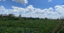 Prime Land Touching Tarmac Arthi River