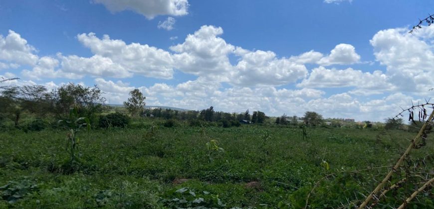 Prime Land Touching Tarmac Arthi River