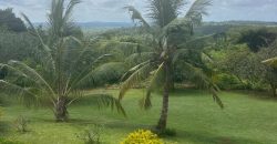 Ready For Occupation 3 Bedroom Villa in Vipingo