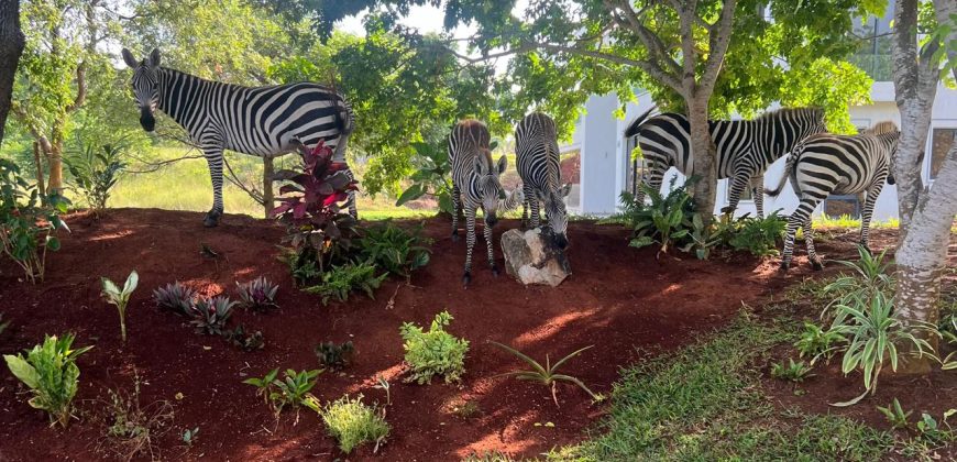 Ready For Occupation 3 Bedroom Villa in Vipingo