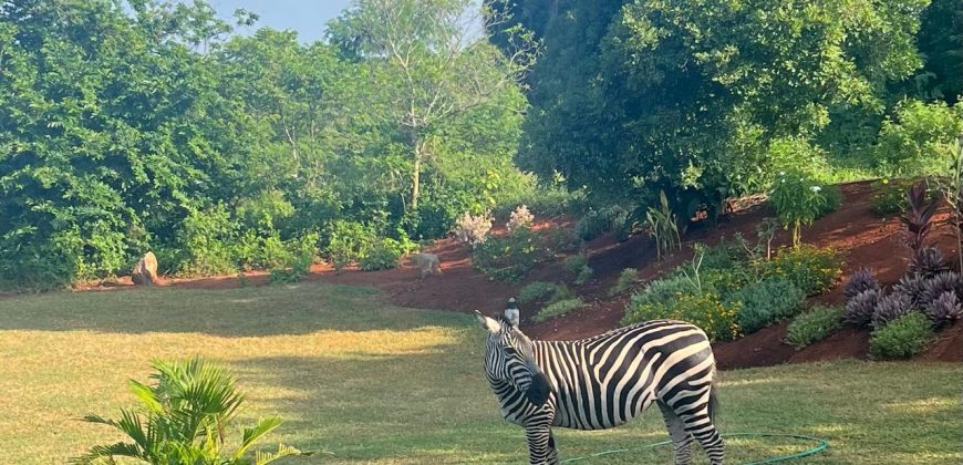 Ready For Occupation 3 Bedroom Villa in Vipingo