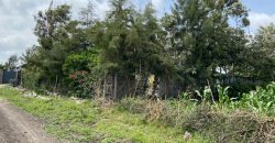 Eighth Acre Residential Plot in Kitengela