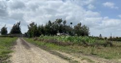 Eighth Acre Residential Plot in Kitengela