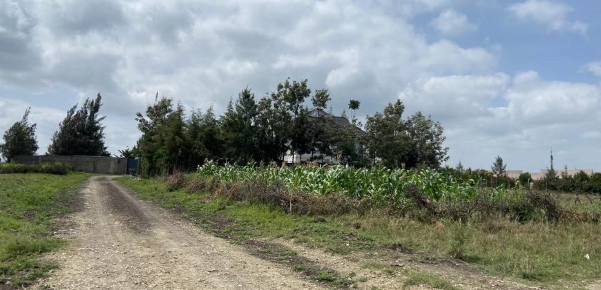 Eighth Acre Residential Plot in Kitengela