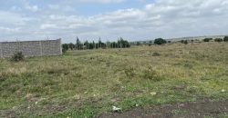 Eighth Acre Residential Plot in Kitengela