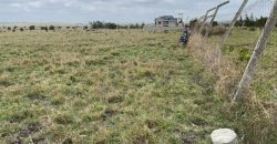 Eighth Acre Residential Plot in Kitengela