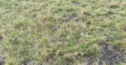 Eighth Acre Residential Plot in Kitengela