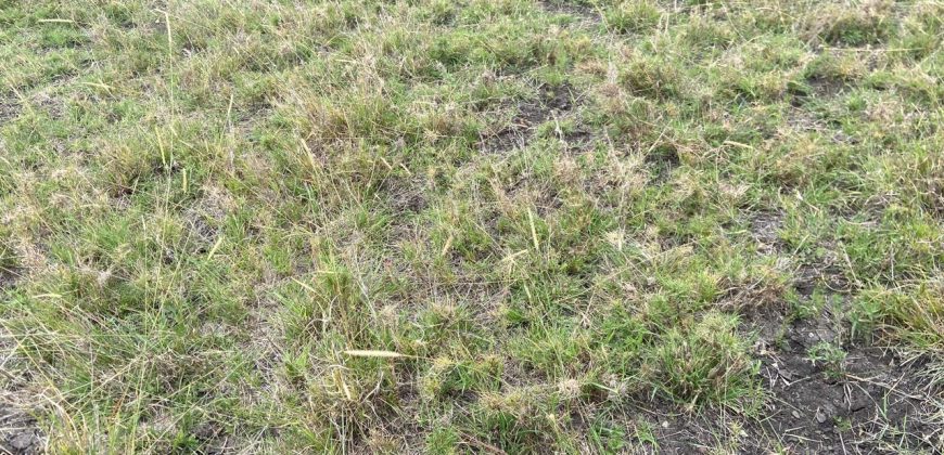 Eighth Acre Residential Plot in Kitengela