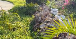 Fully Furnished Villa Near The Beach Malindi