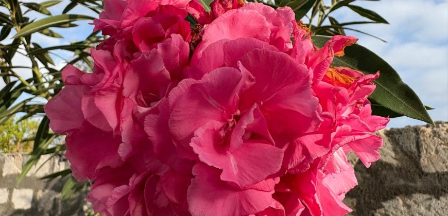 Fully Furnished Villa Near The Beach Malindi