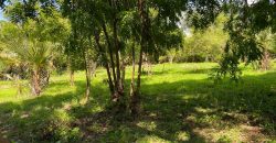 Very Prime Green 170 Acres For Sale in Kuruwitu Beach – Vipingo