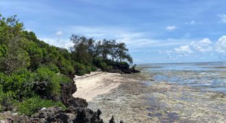 Very Prime Green 170 Acres For Sale in Kuruwitu Beach – Vipingo