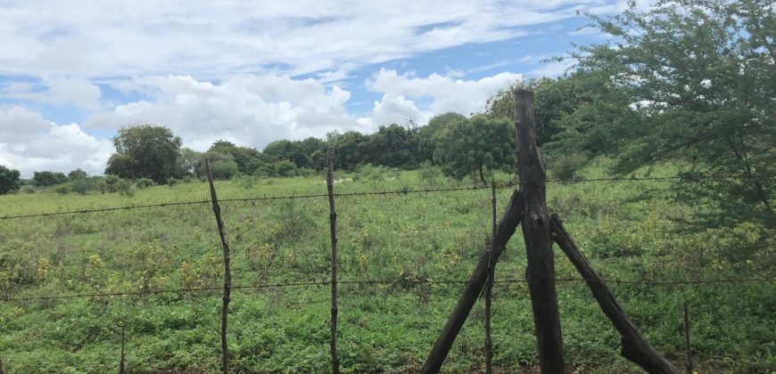 Malindi Mambrui Highway Plots For Sale