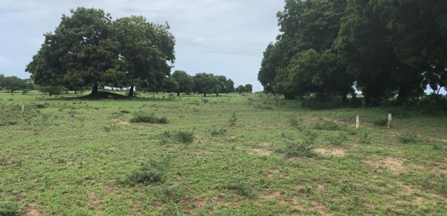 Malindi Mambrui Highway Plots For Sale