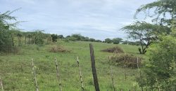 Malindi Mambrui Highway Plots For Sale