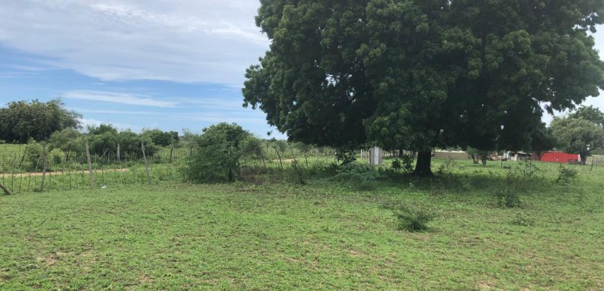 Malindi Mambrui Highway Plots For Sale